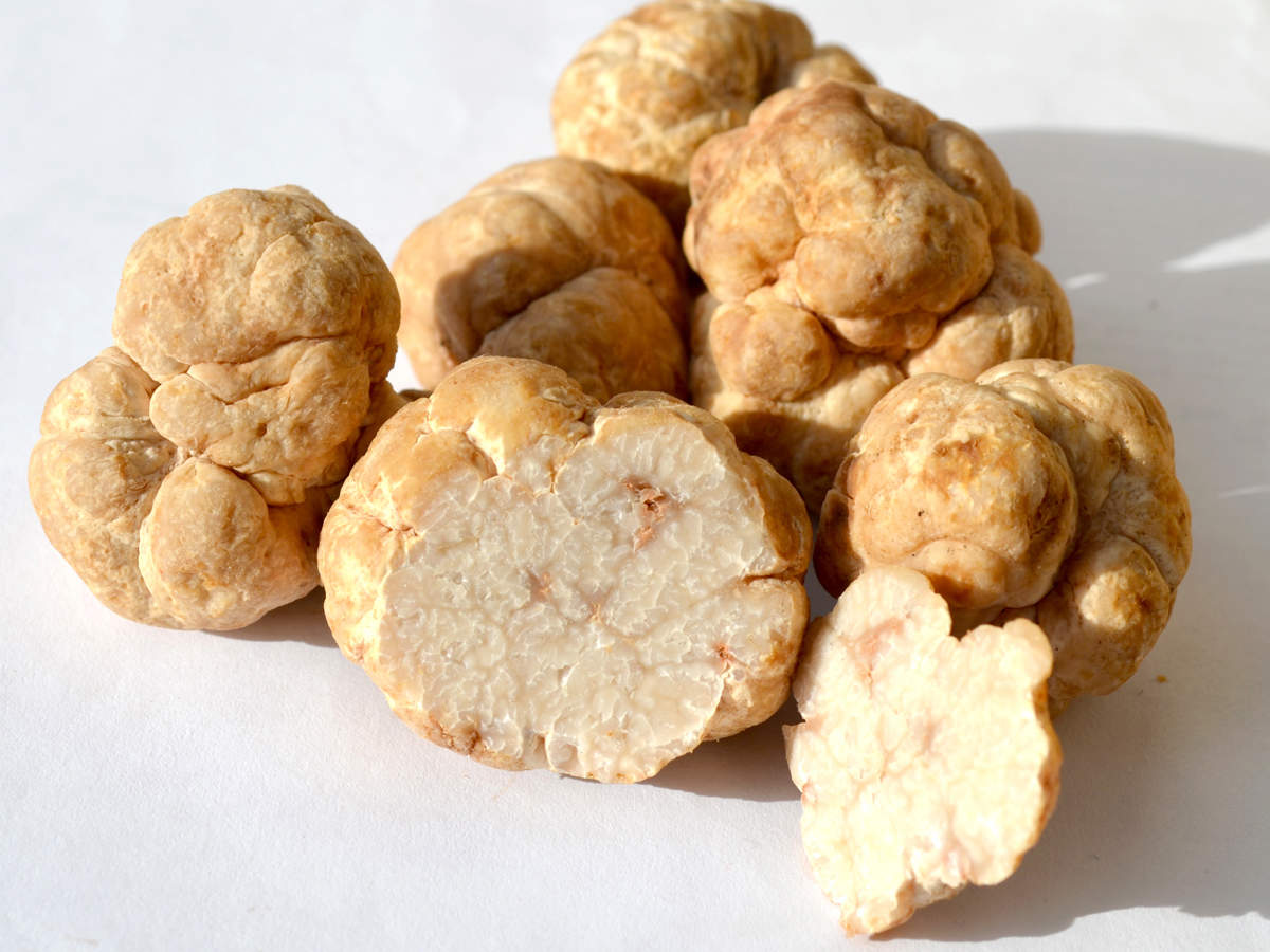 White Truffle Sauce Olio Olive Oils Balsamics
